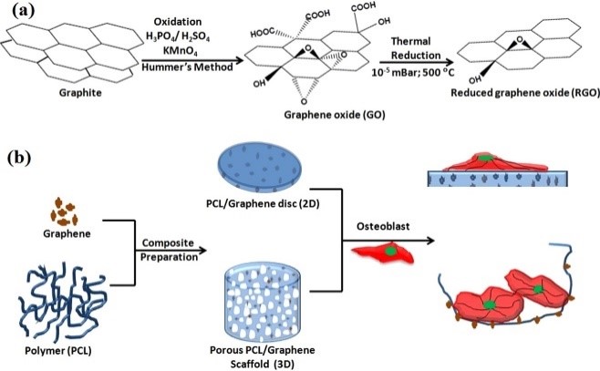 Biomaterials And Bio-interface Lab